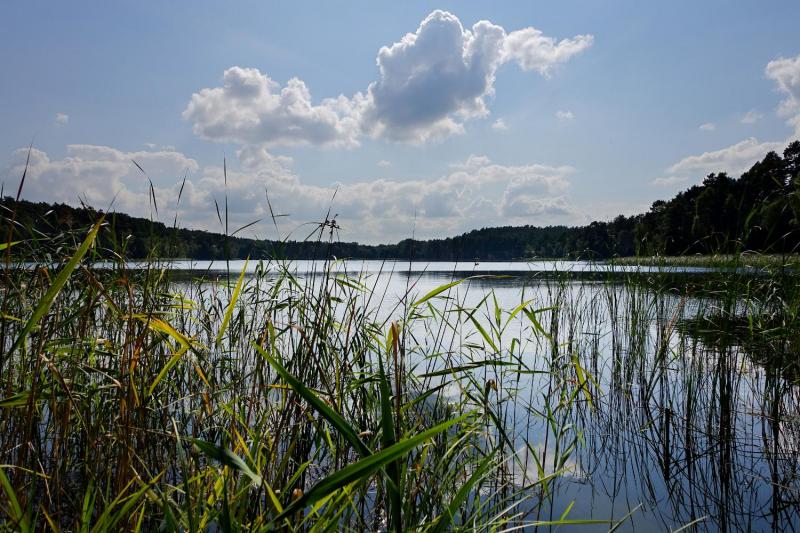 Bild Nr. 4