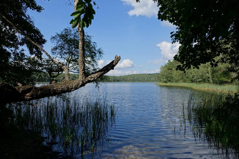 Bild Nr. 5