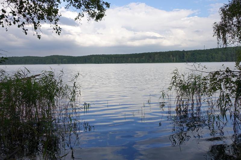 Bild Nr. 3