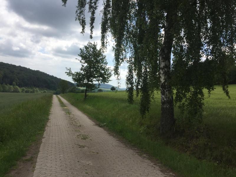 Bild Nr. 2