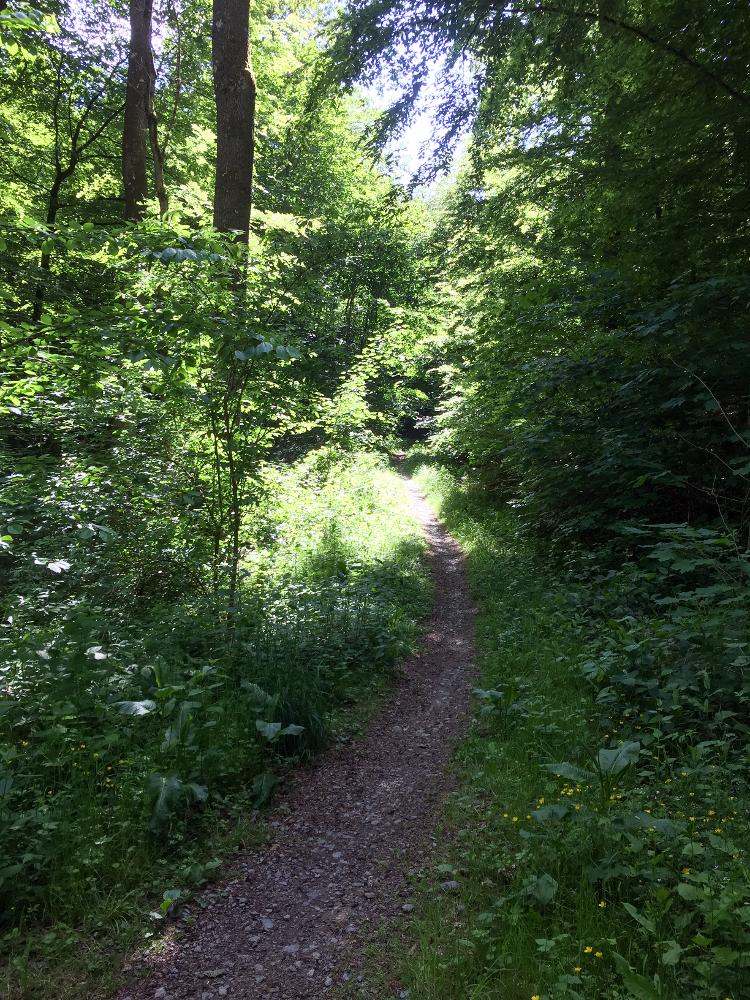 Bild Nr. 3