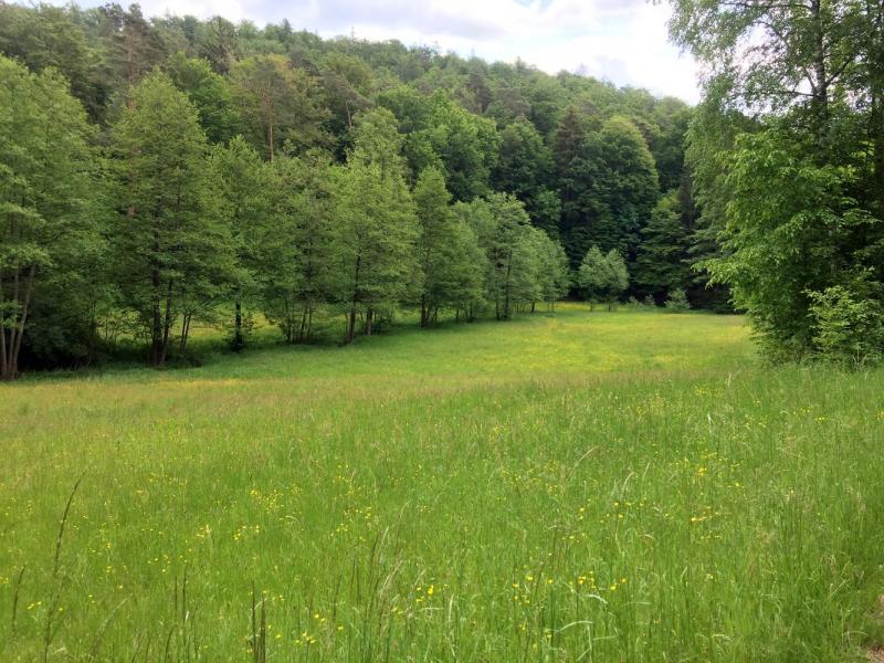 Bild Nr. 4