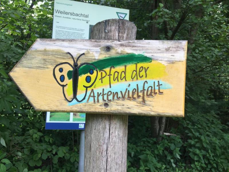 Bild Nr. 2