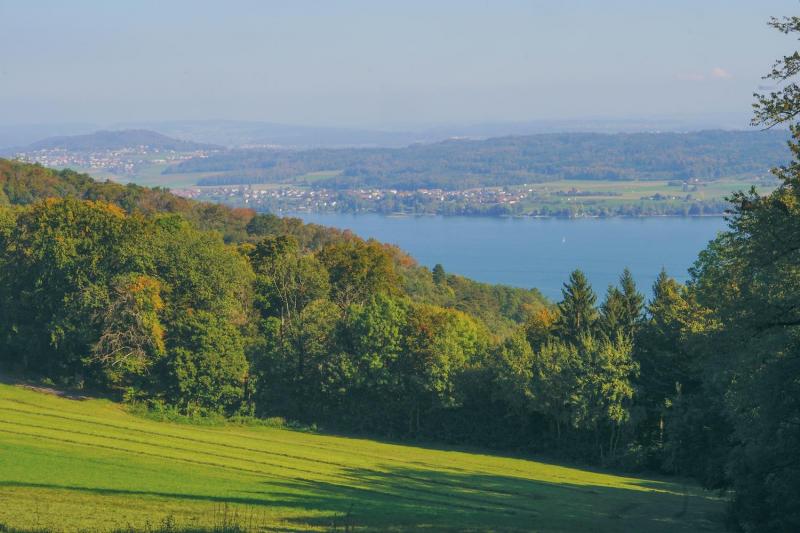 Bild Nr. 2