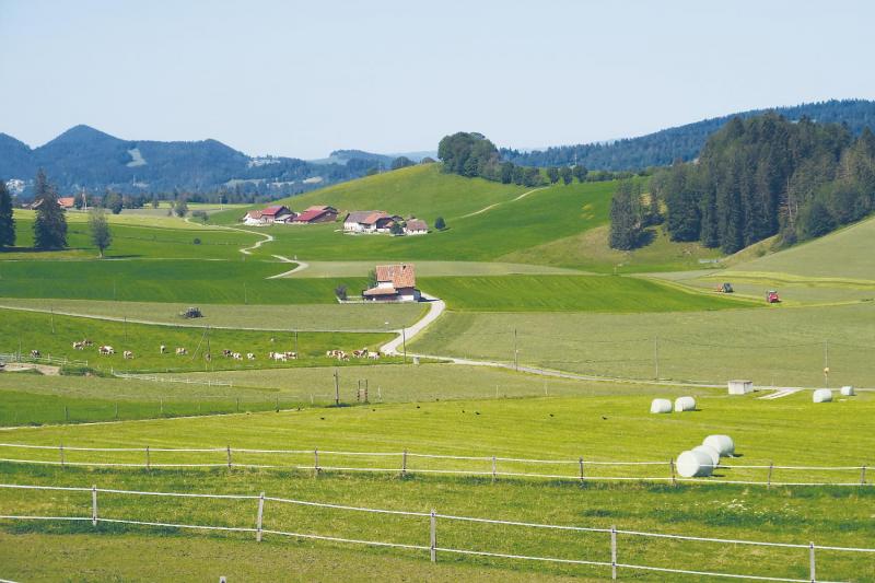 Bild Nr. 3