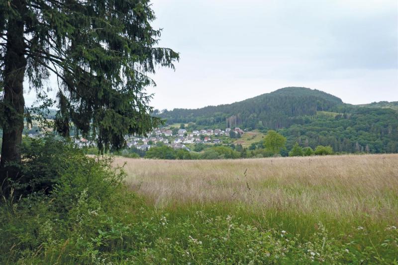 Bild Nr. 2