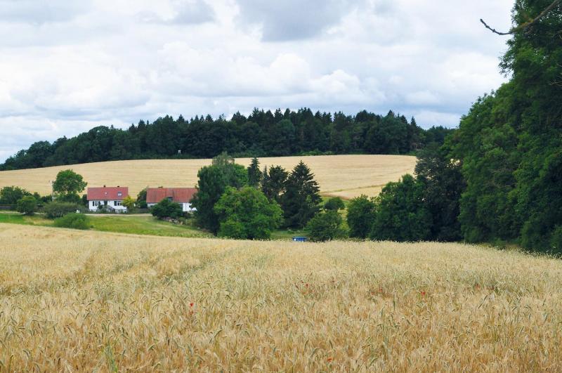 Bild Nr. 2