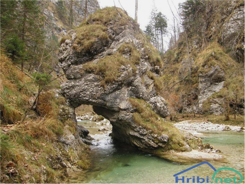 Bild Nr. 3