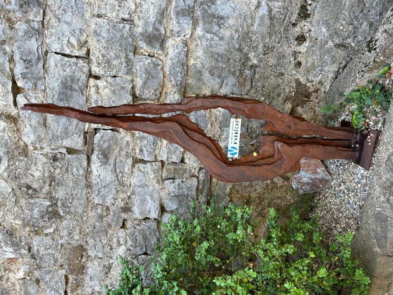 Bild Nr. 12