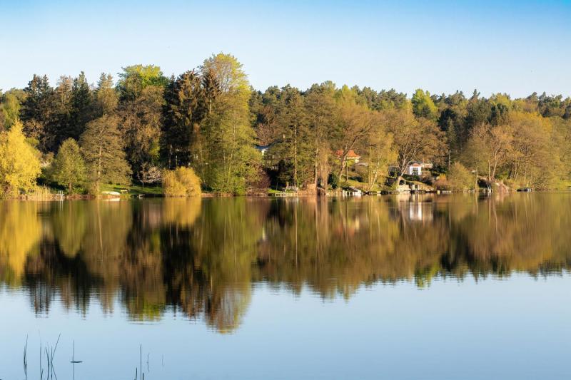 Bild Nr. 5