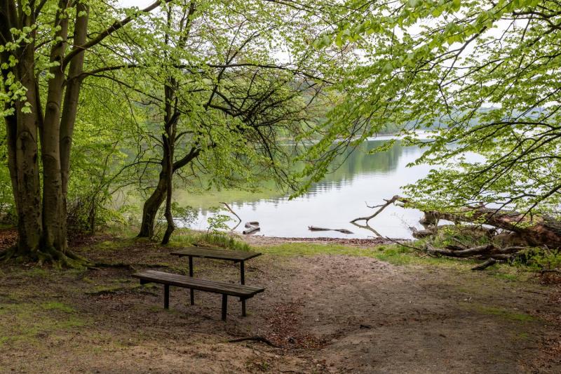 Bild Nr. 2