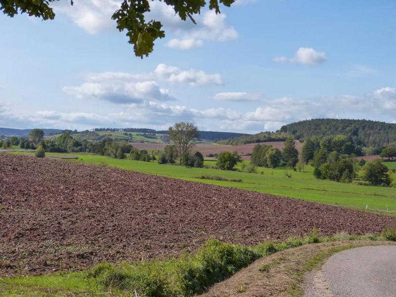 Bild Nr. 3