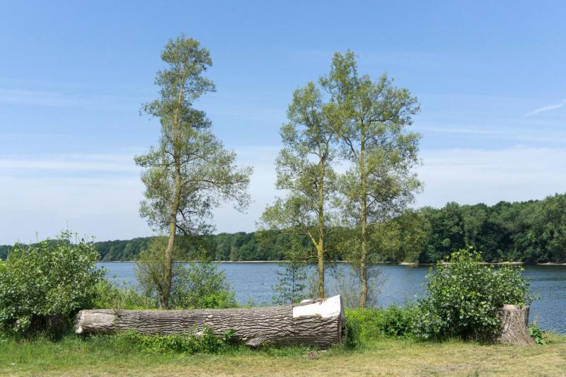 Bild Nr. 2