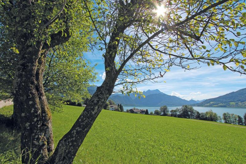 Bild Nr. 5