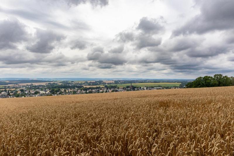 Bild Nr. 3
