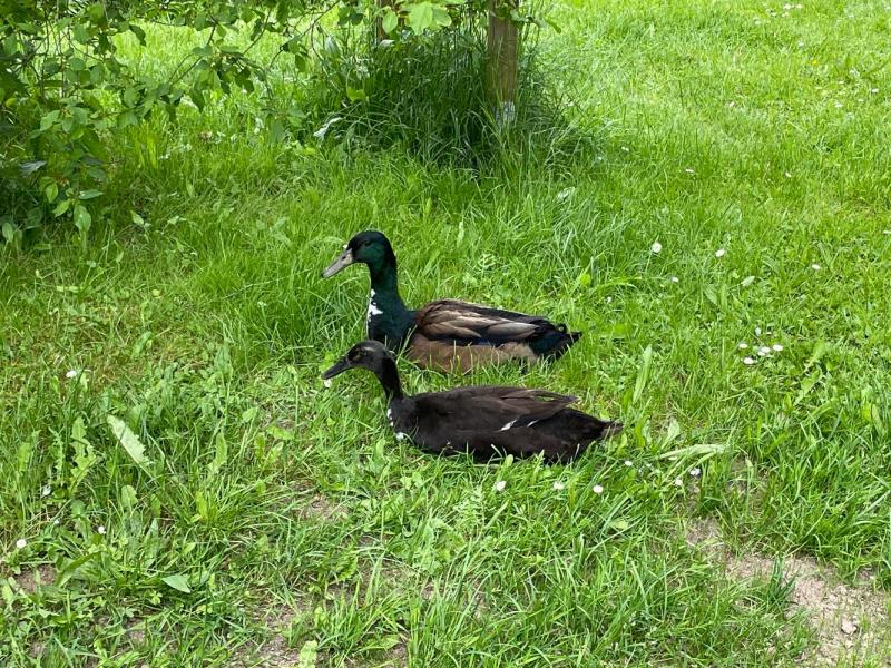 Bild Nr. 2