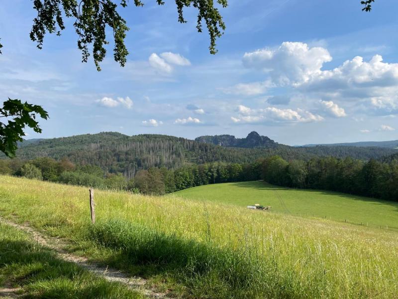 Bild Nr. 4