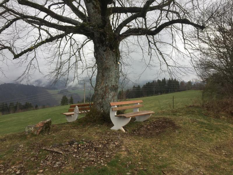Bild Nr. 3