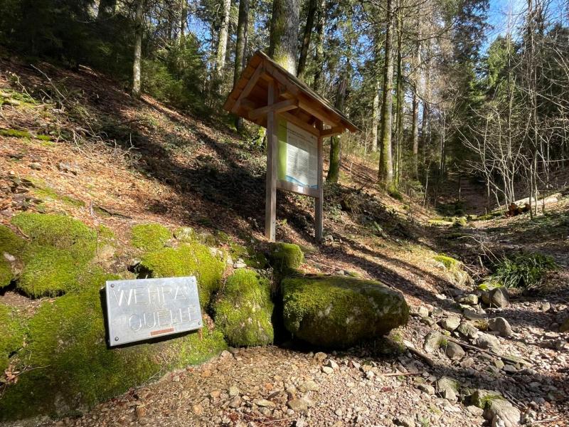 Bild Nr. 4