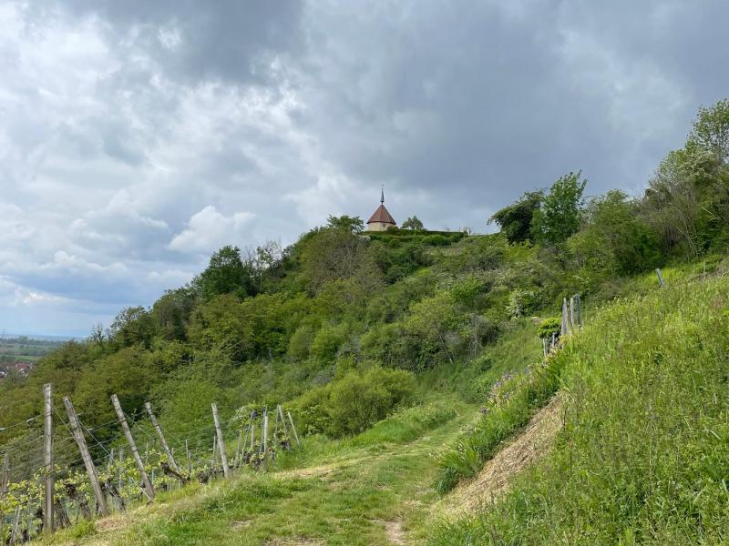Bild Nr. 3