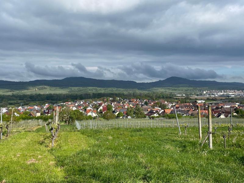Bild Nr. 2