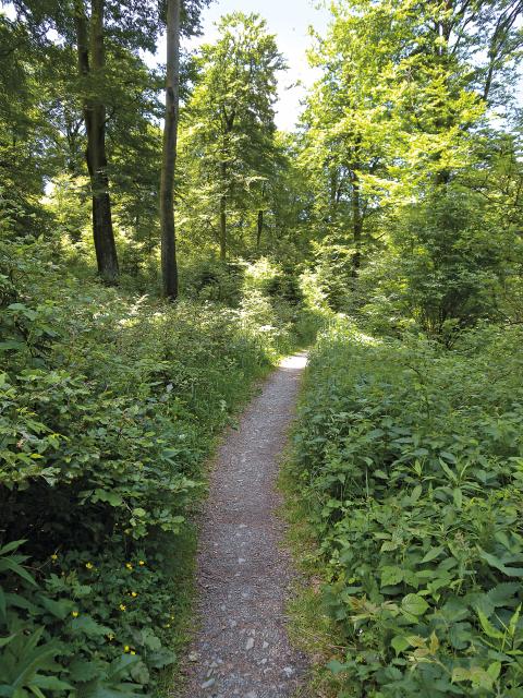 Bild Nr. 2