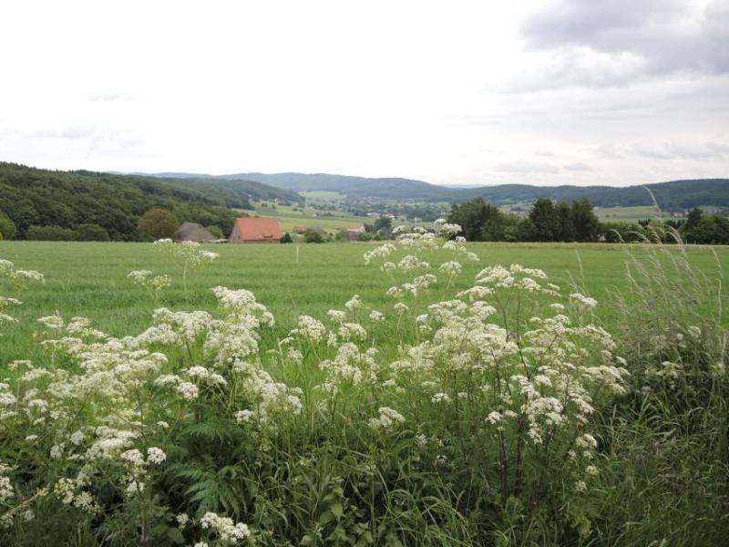 Bild Nr. 4
