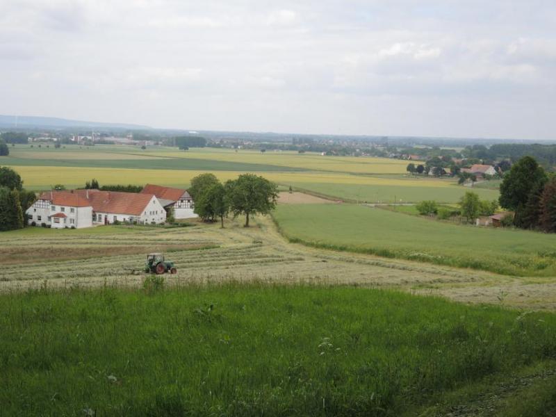 Bild Nr. 3