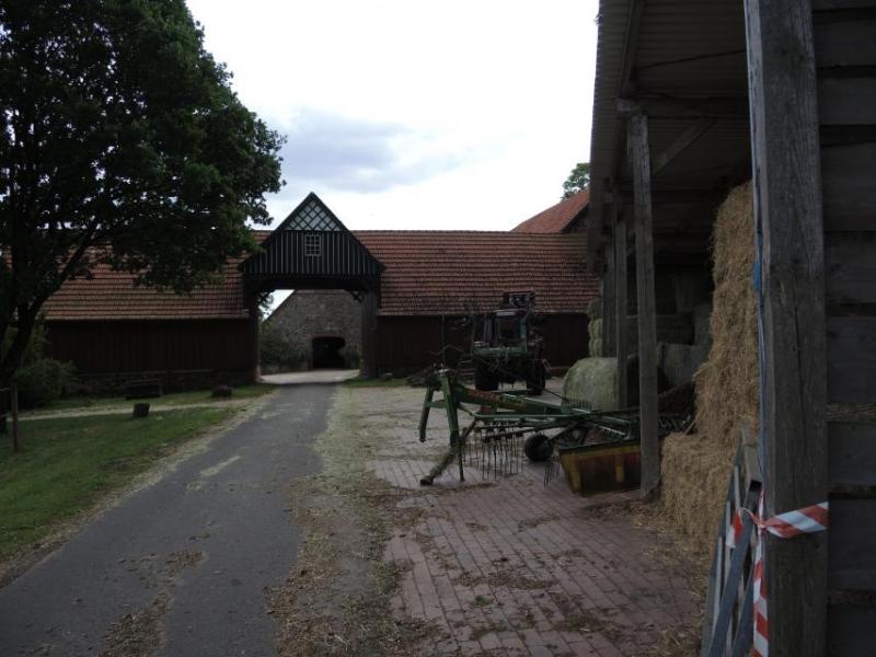 Bild Nr. 3