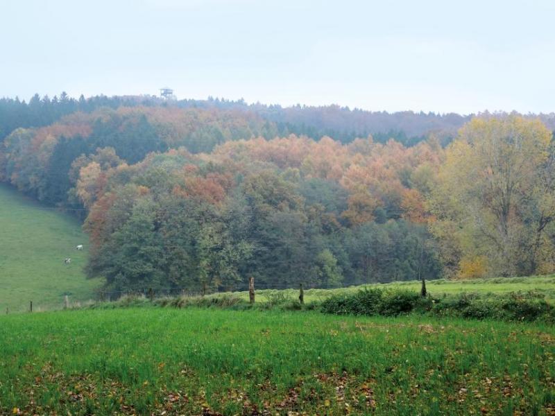 Bild Nr. 4
