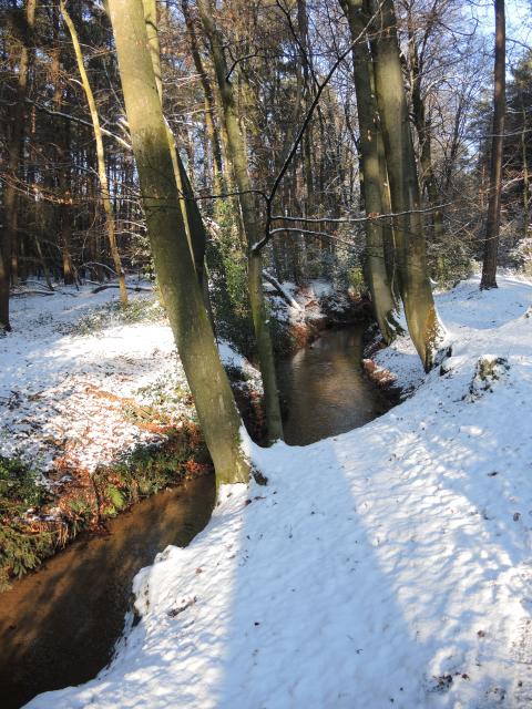 Bild Nr. 3