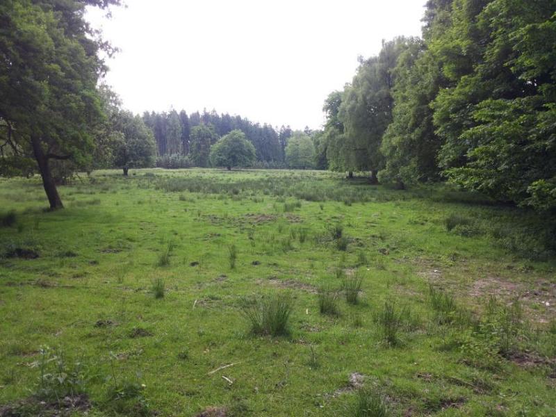Bild Nr. 4