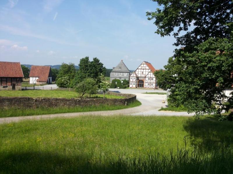 Bild Nr. 5