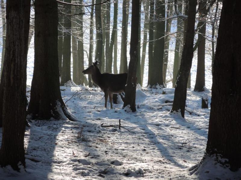 Bild Nr. 3