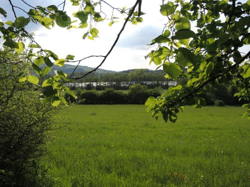 Bild Nr. 2
