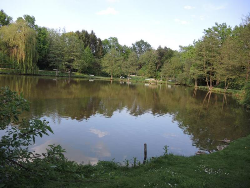 Bild Nr. 4