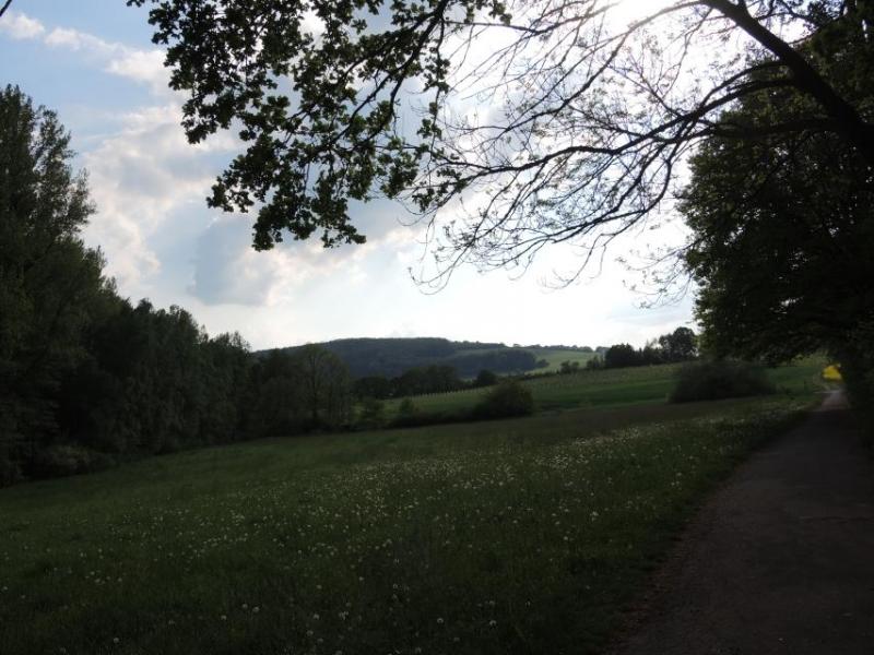 Bild Nr. 3