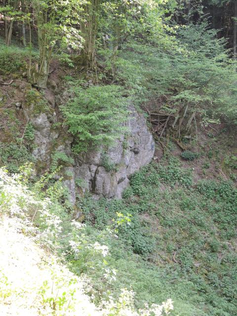 Bild Nr. 2