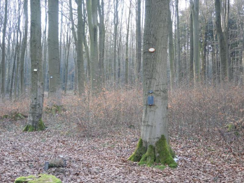 Bild Nr. 3