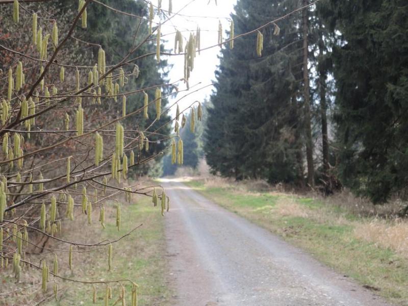 Bild Nr. 3
