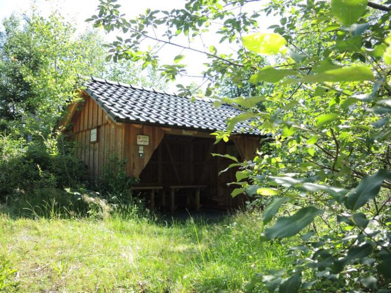 Bild Nr. 4