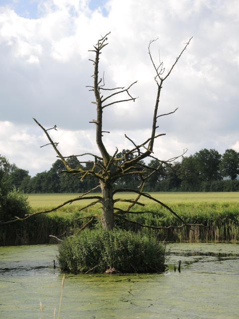 Bild Nr. 5