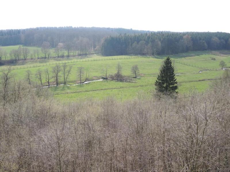Bild Nr. 5