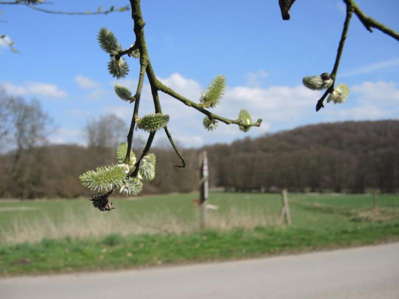 Bild Nr. 4