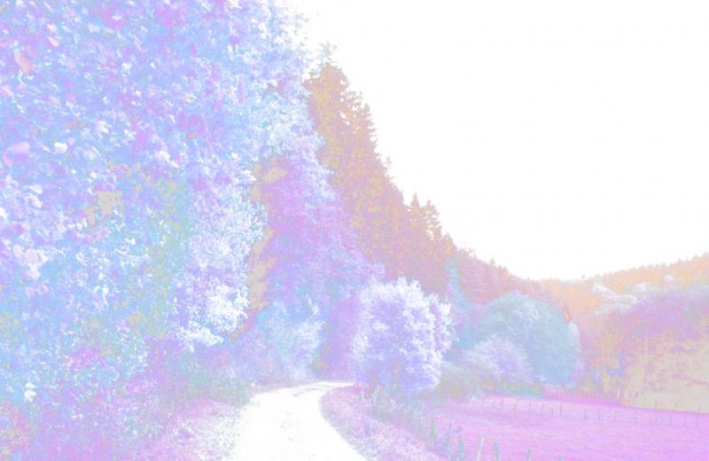 Bild Nr. 2