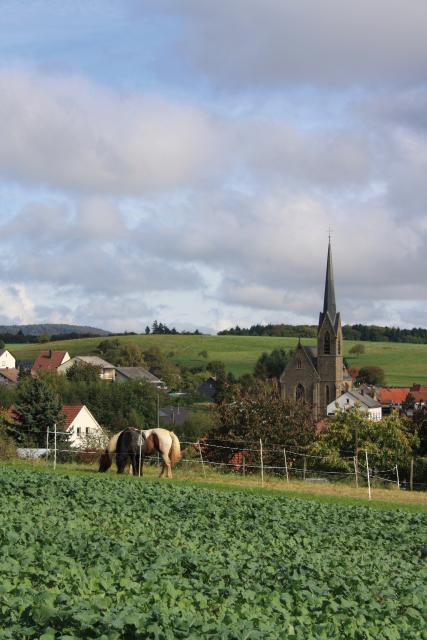 Bild Nr. 3
