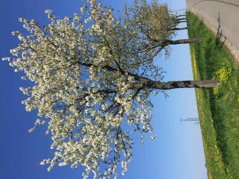 Bild Nr. 2