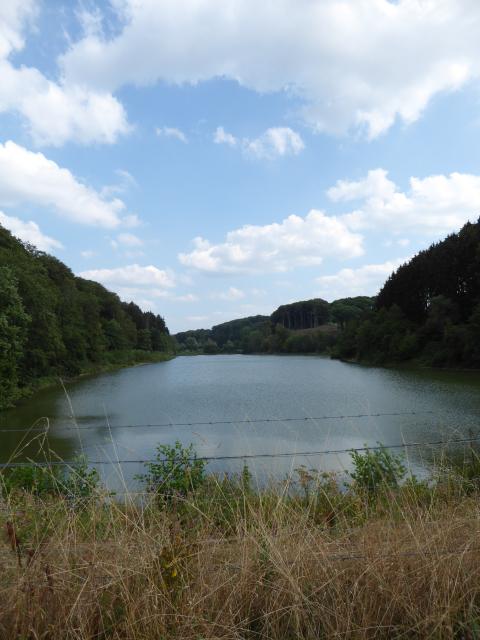 Bild Nr. 3