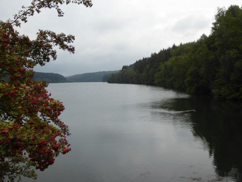 Bild Nr. 2