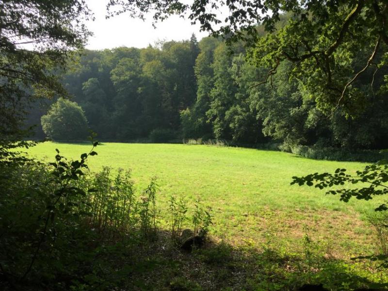 Bild Nr. 2